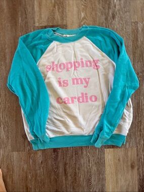 Wildfox Teal and White Raglan Sweatshirt with Pink Slogan